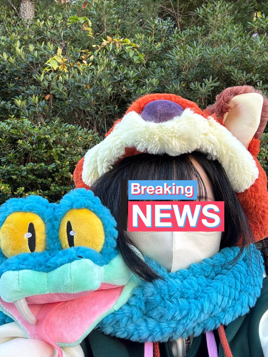 るな🦊💞11/11,26🏰 tweet media