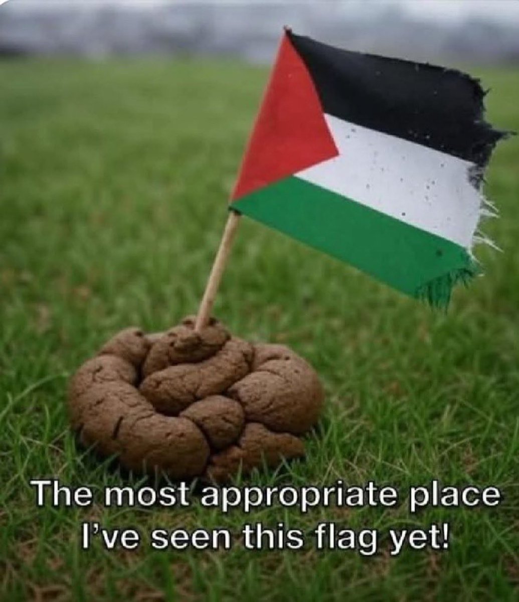 Matt Best 🇦🇺 tweet media