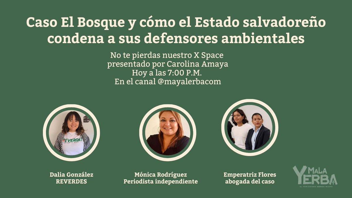 MalaYerba tweet media