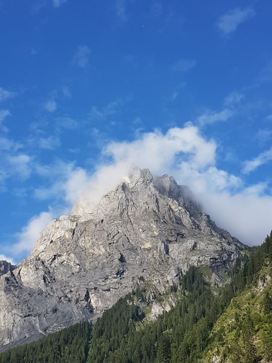 NubesDesign's tweet image. Art of the Day! "woolly art on Oeschinensee". Buy at: ArtPal.com/nubesdesignch?…