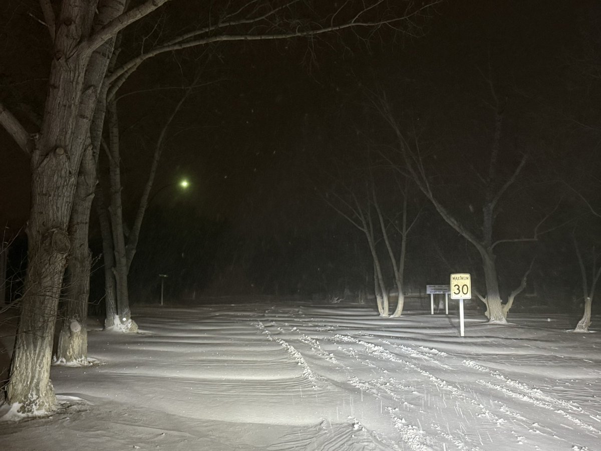 Braydon Morisseau tweet media