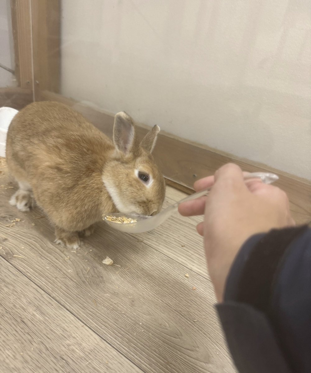 ゆめぼく！飼育員カメラ／ 作りすぎてしまったおやつをプレゼント