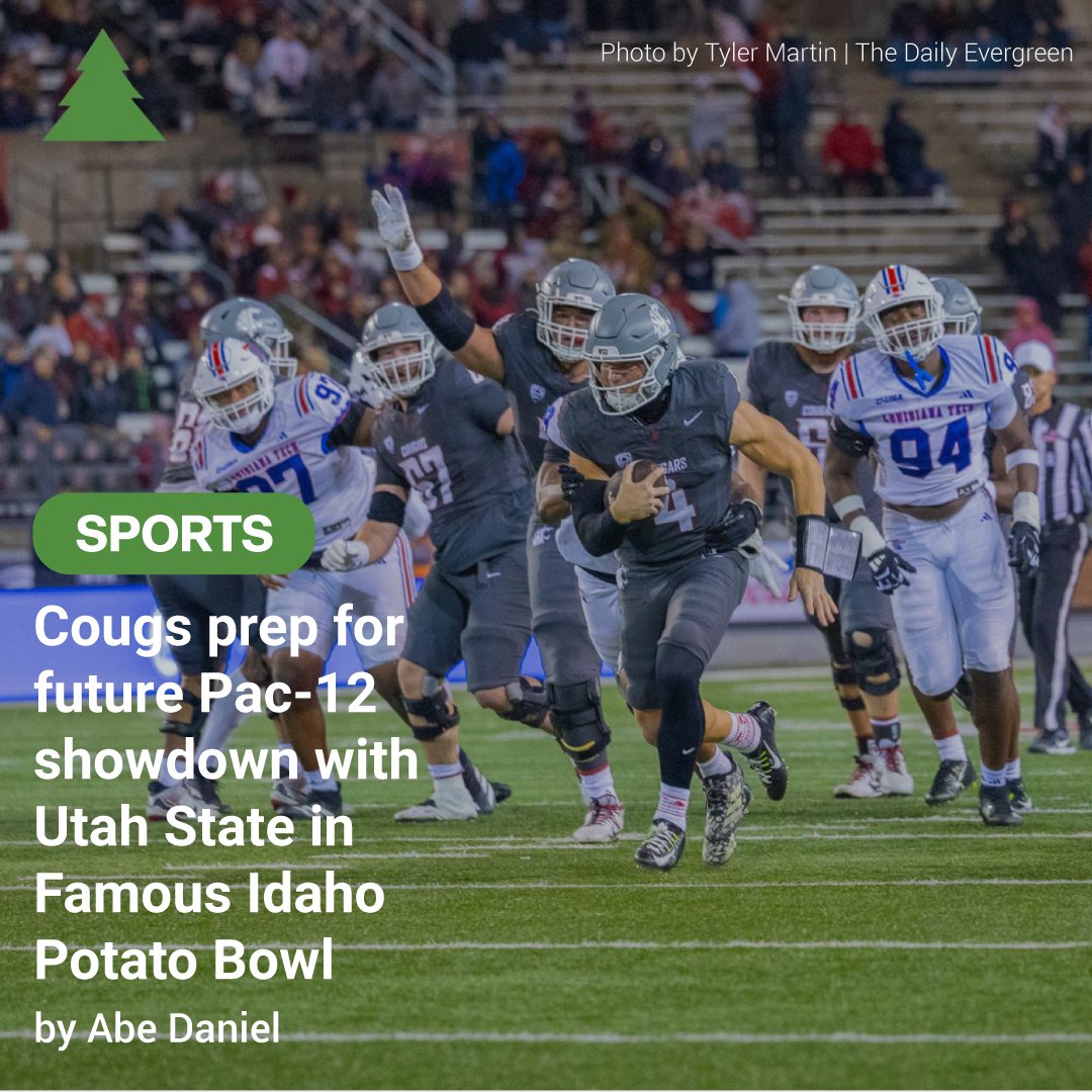 The Daily Evergreen tweet media