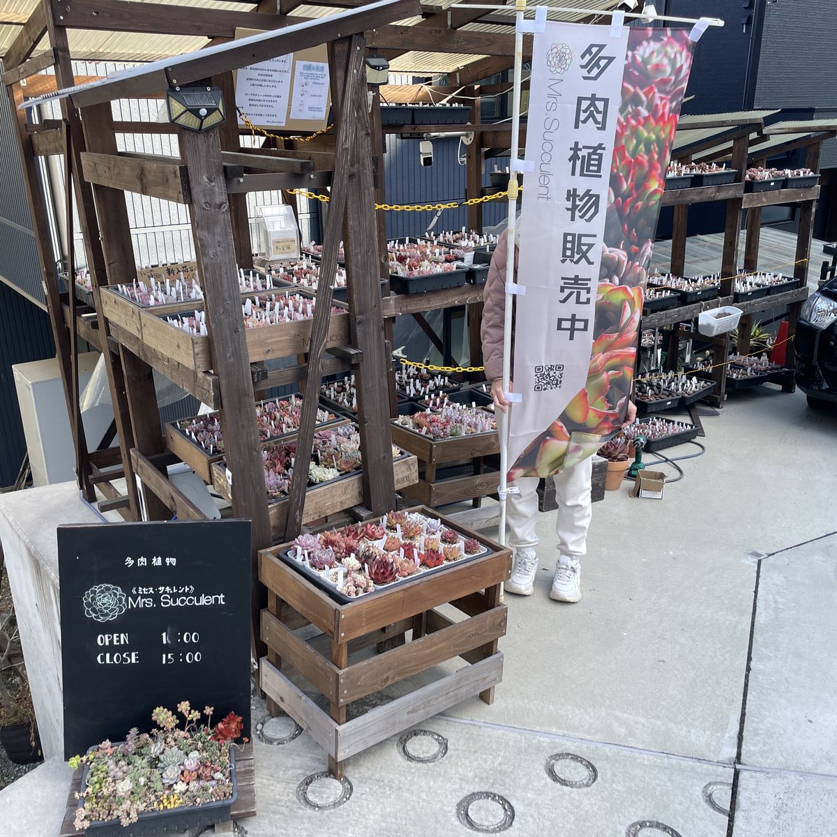 多肉植物無人販売所 オープンしてます。