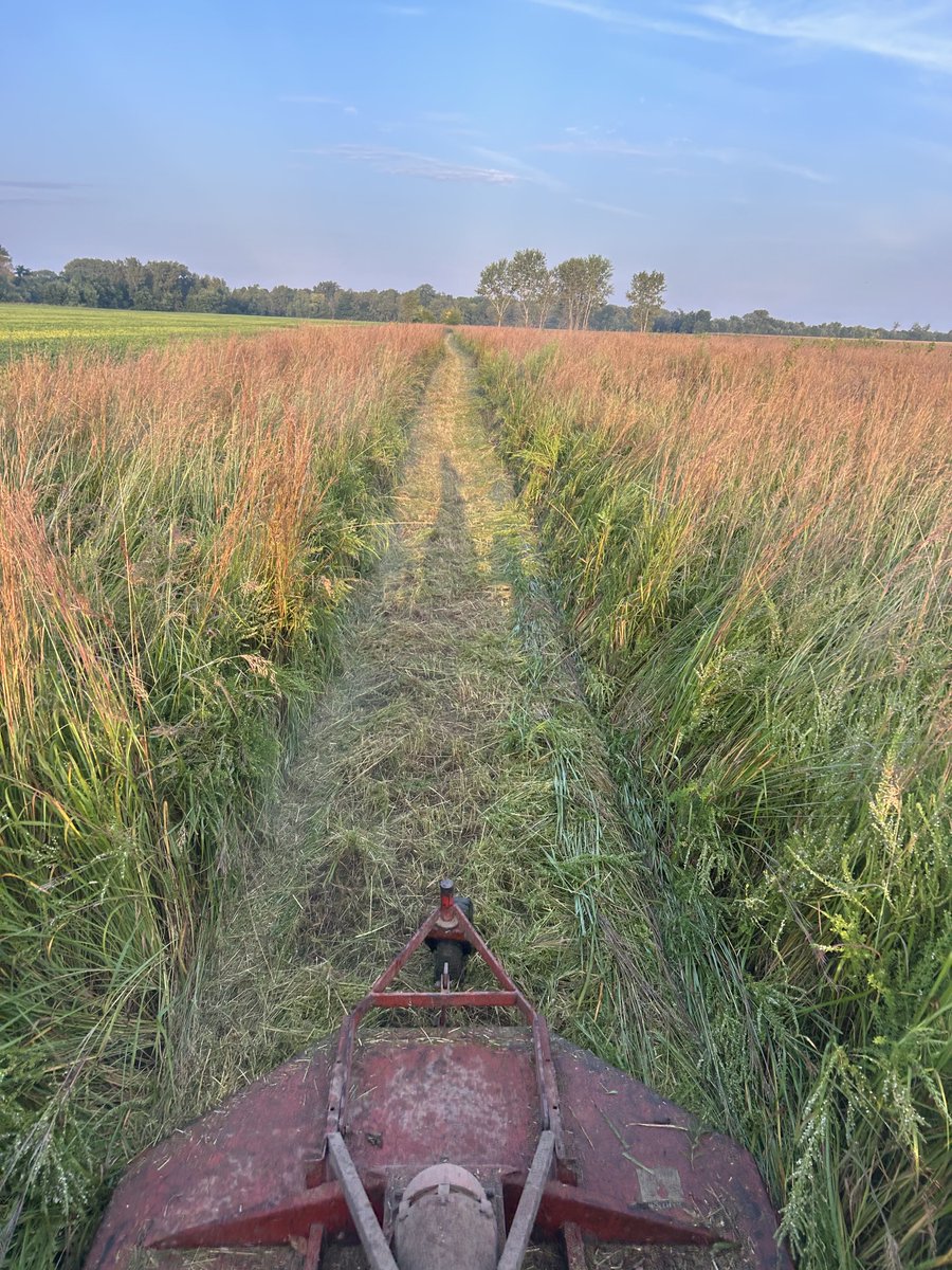 JTHFarms (@jthfarms) on Twitter photo 