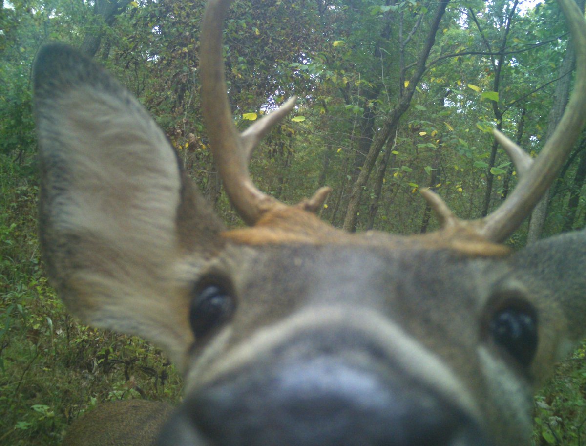 𝚃𝚑𝚎 𝙴𝚗𝚐𝚕𝚒𝚜𝚑𝚖𝚊𝚗. tweet media