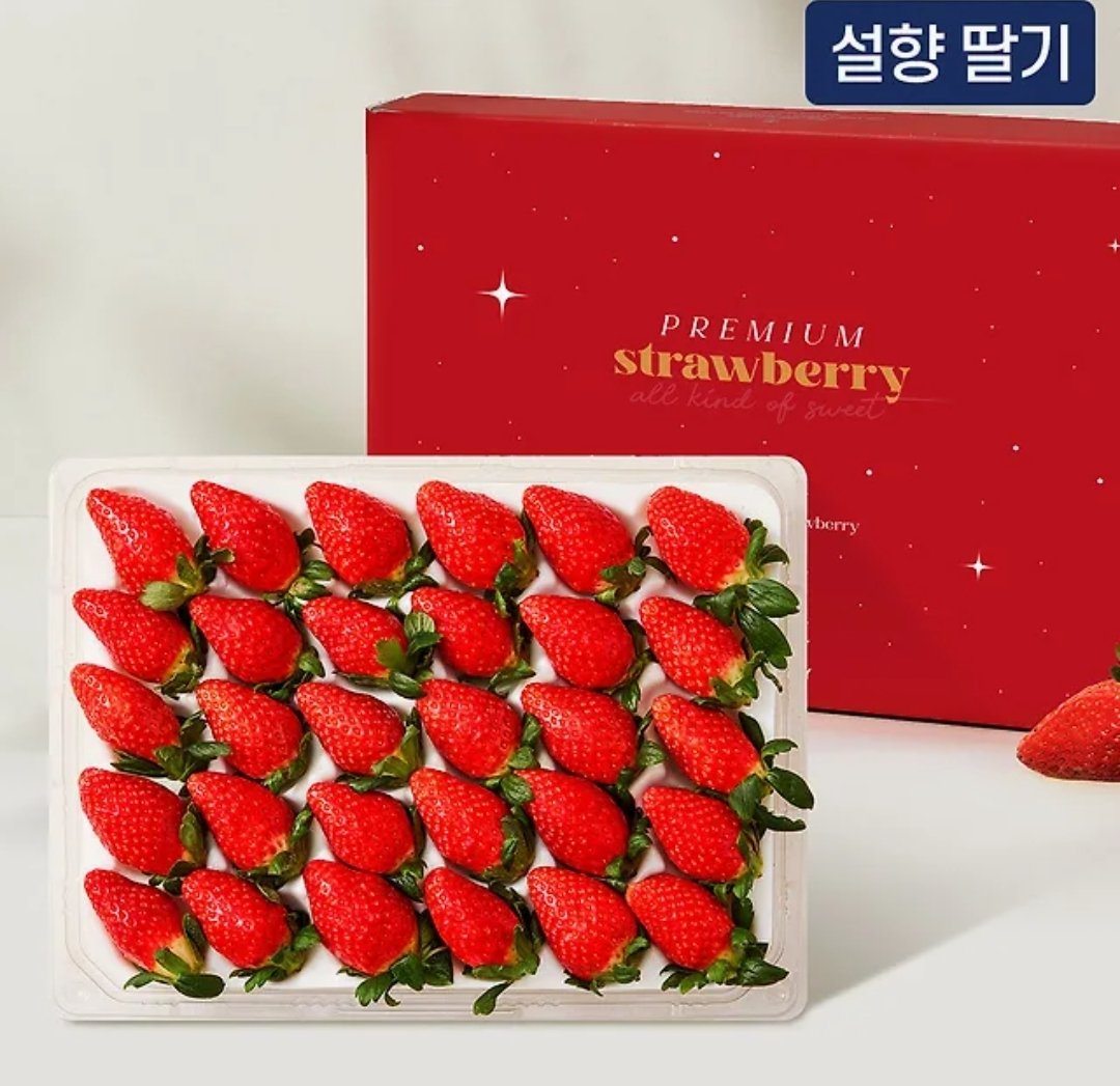 🐑🎸 ⁰⁵⁰⁵밤 ⁰⁵⁰⁹낮 JOY❤️ tweet media