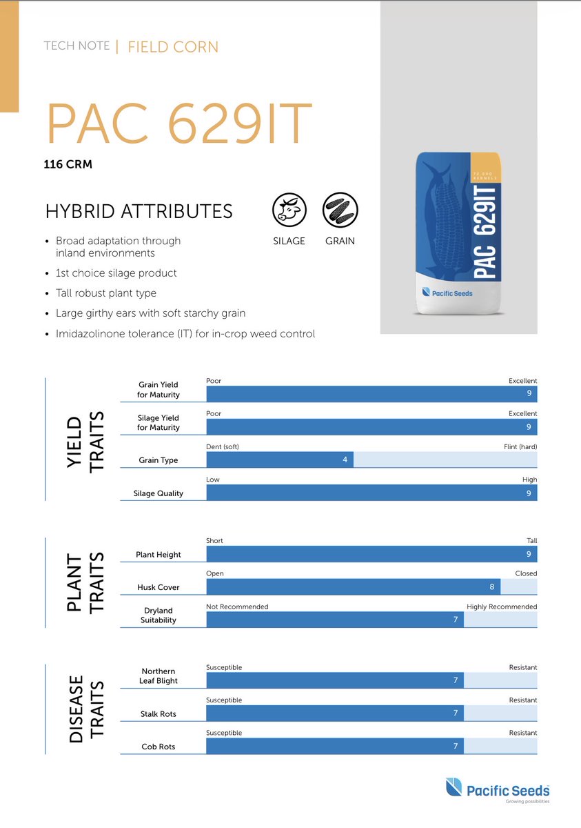 Dan Rolls tweet media