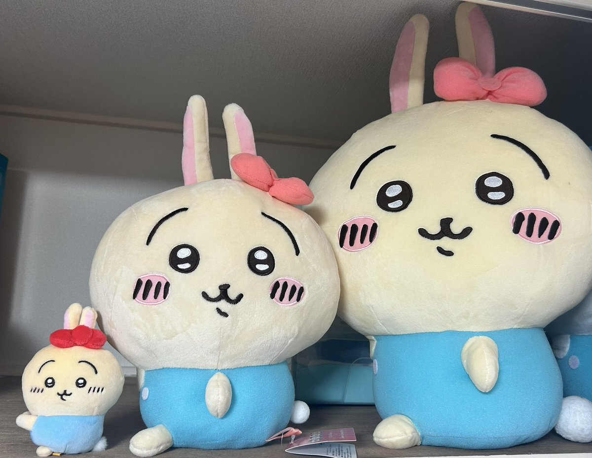 ぽにょポニョ (@ponyopaya) / Posts / X