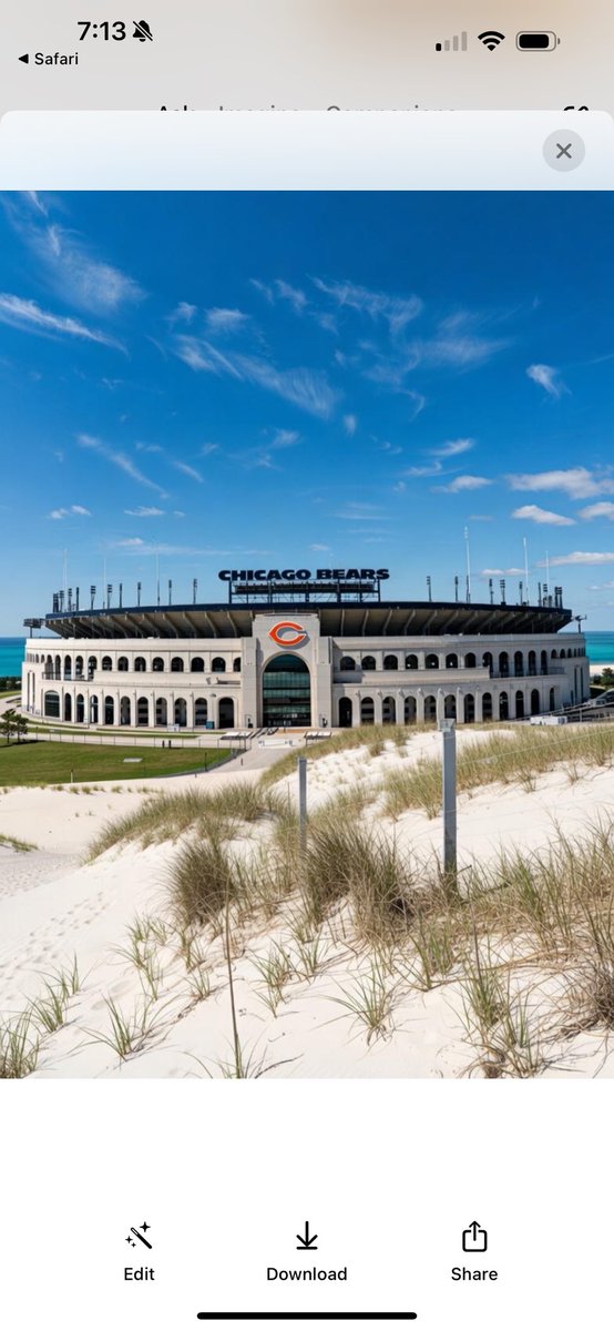 Bears x Indiana Dunes.