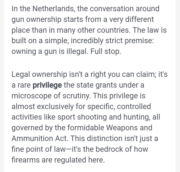 Marjan 🐝 tweet media