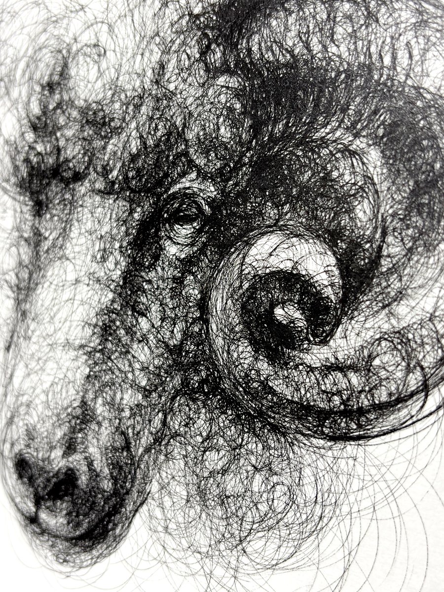 マスブチミナコ tweet media