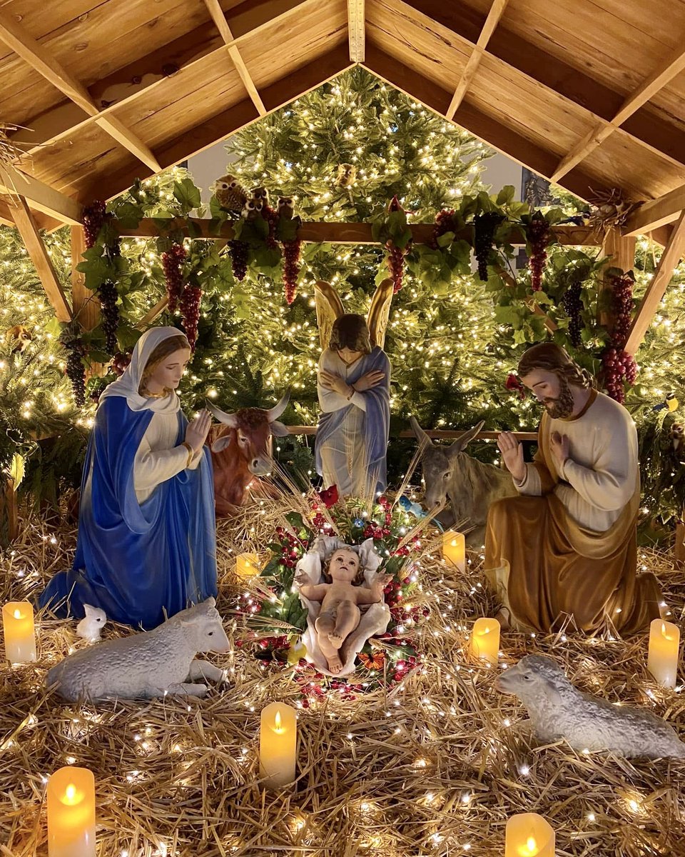 CatholicCassie's tweet photo. One week until Christmas https://t.co/lcfkcTDfw5