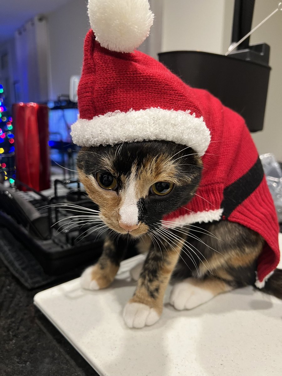 airikkah's tweet photo. Mrs. Claus is ready to help Santa https://t.co/ERFP20lvIx