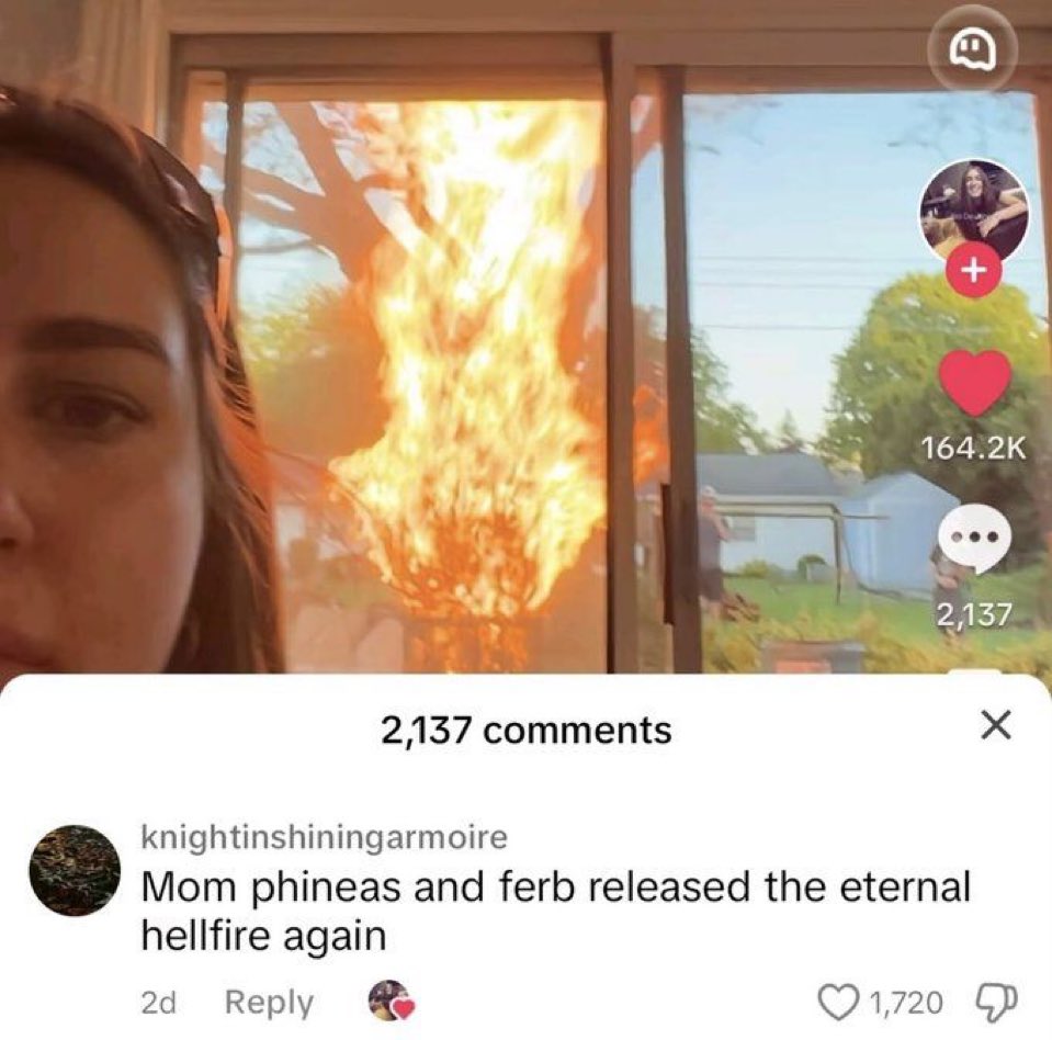 Nature Vids (@natureinmemes) on Twitter photo 