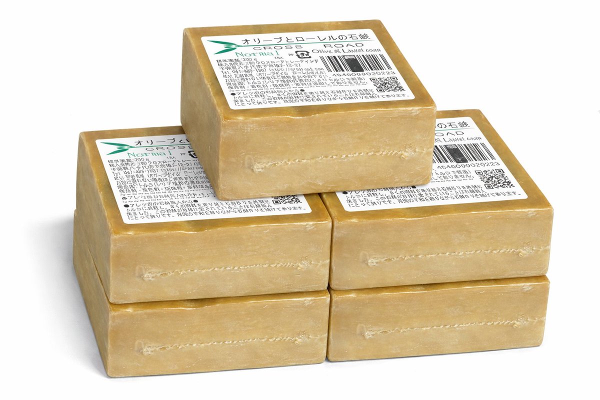 チャッピー様 原生生物図鑑 : クイーンチャッピー | ピクミンガーデン ～ピクミンの