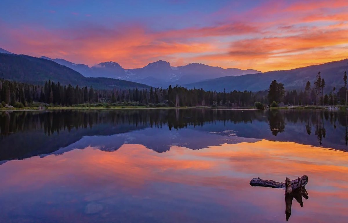 Brynn Alise tweet media