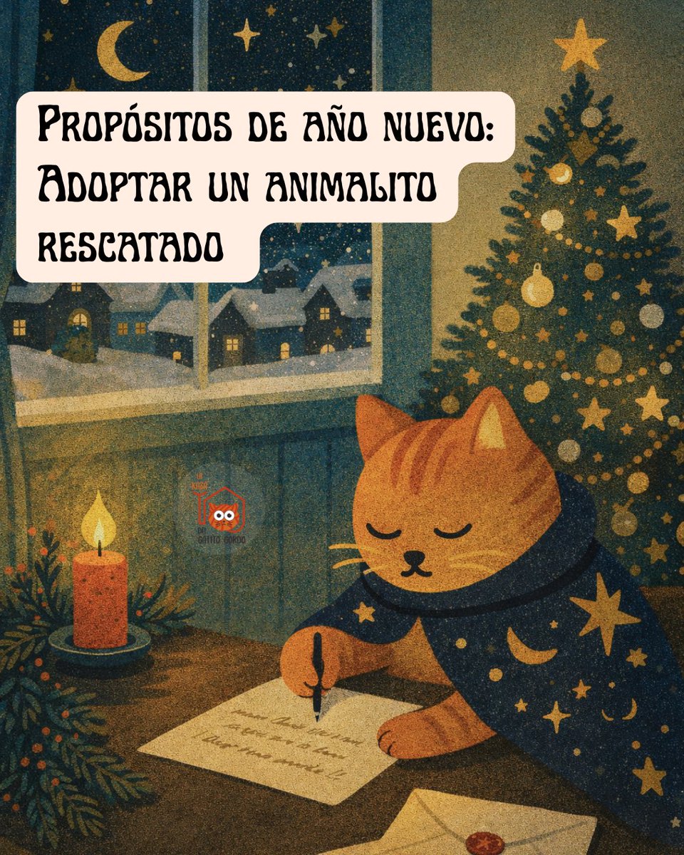 LA KASA DEL GATITO GORDO tweet media