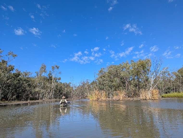 Ecosystem Science tweet media