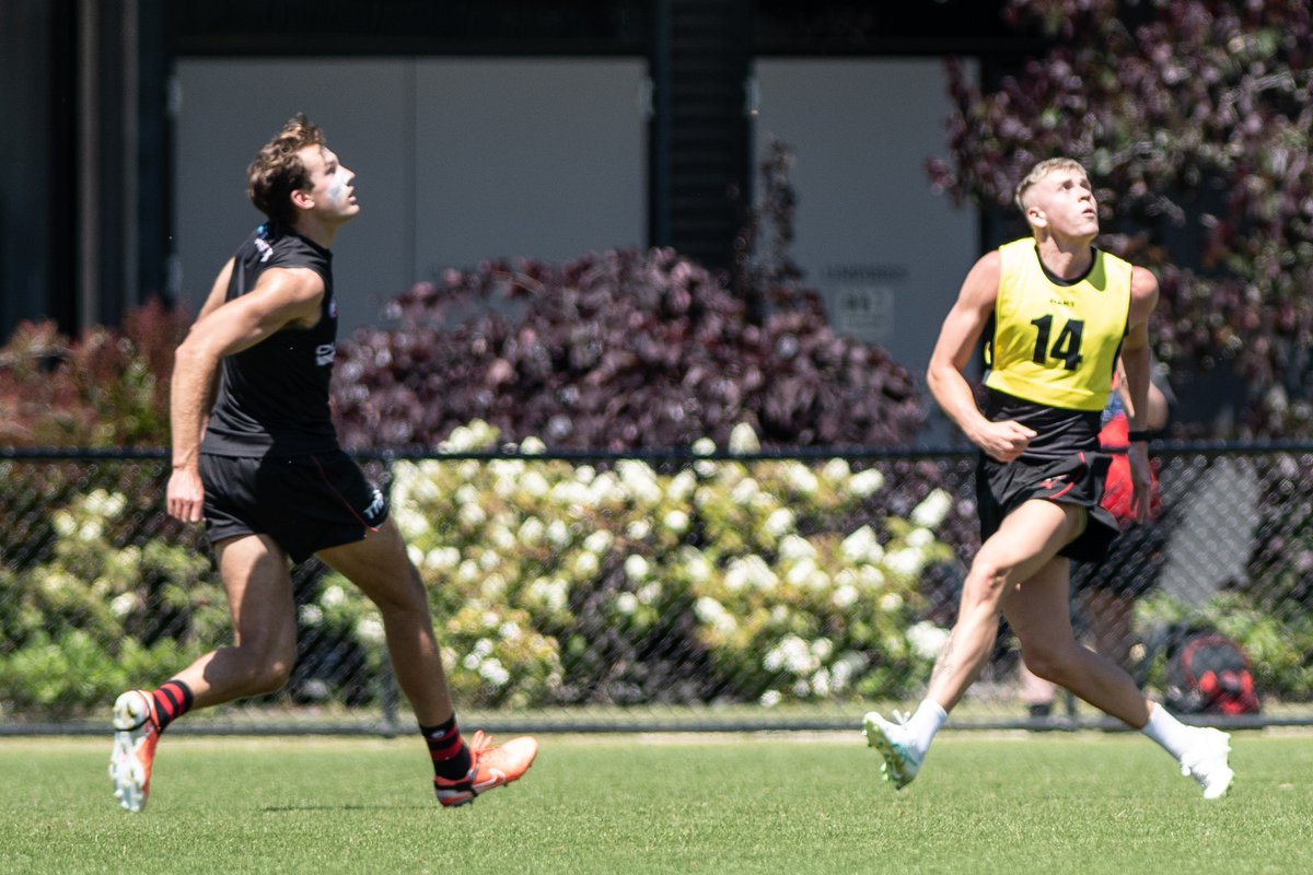 For a brief moment, I was scared by this