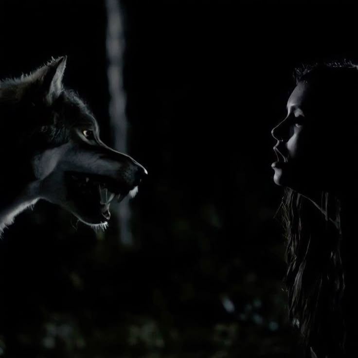 DentesLamia's tweet image. 