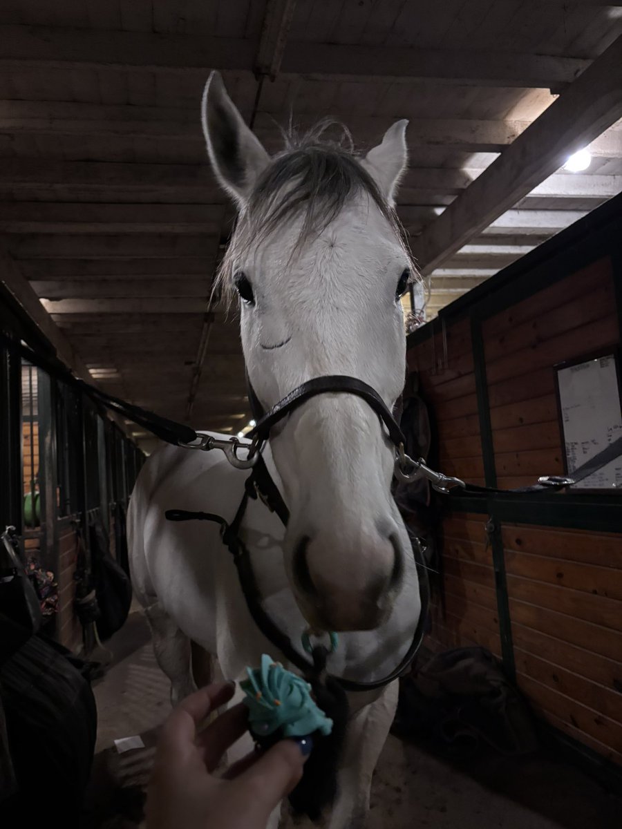 Leah Vasquez tweet media