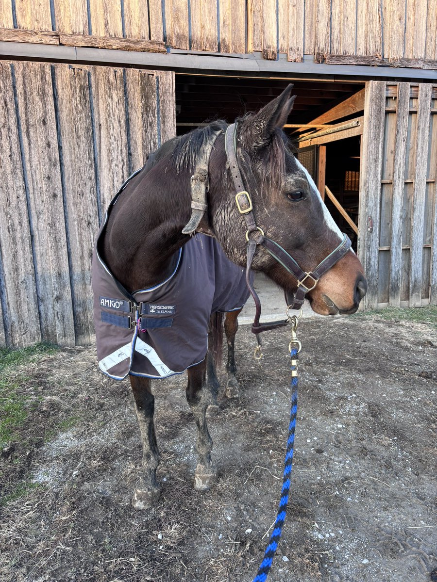 Leah Vasquez tweet media