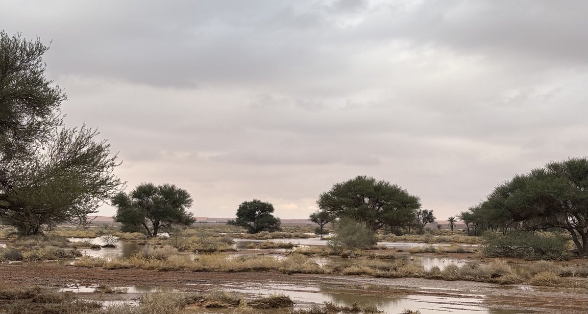 ًً (@___7lii) on Twitter photo 