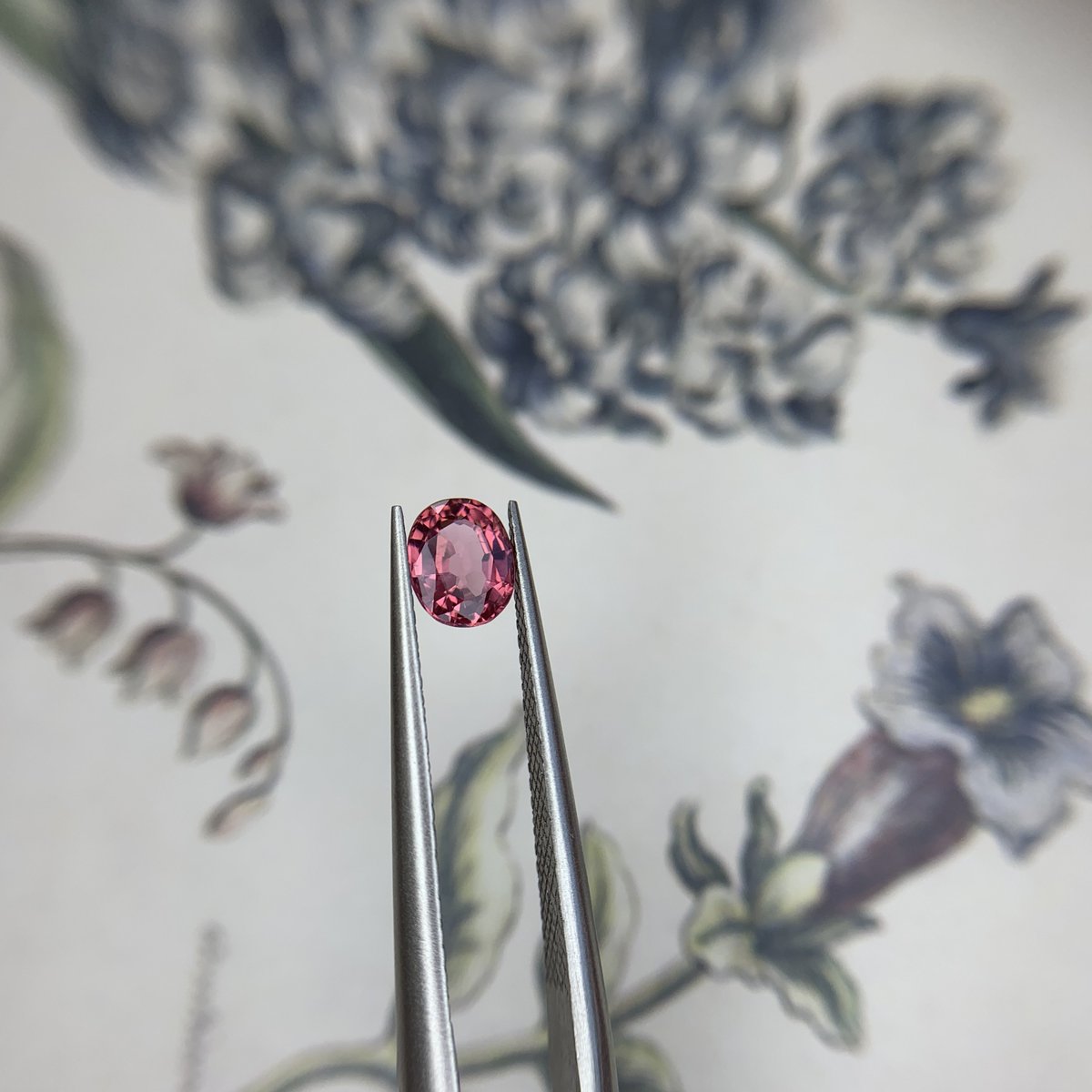 mak1k03's tweet photo. 東京ミネラルショーお迎え品⑤

グッドストーンさん@goodstone_tyo 
スピネル0.48ct

濃いピンクがかわいい❣️
④のタンザと並べてかわいかったのはこちらのスピネル💁‍♀️

グッドストーンさんはダイヤも色石も素敵＆お得でありがたい✨
長男も昨年に続き、またダイヤを買えて嬉しそうでした🥰 https://t.co/waIUjdKP3q