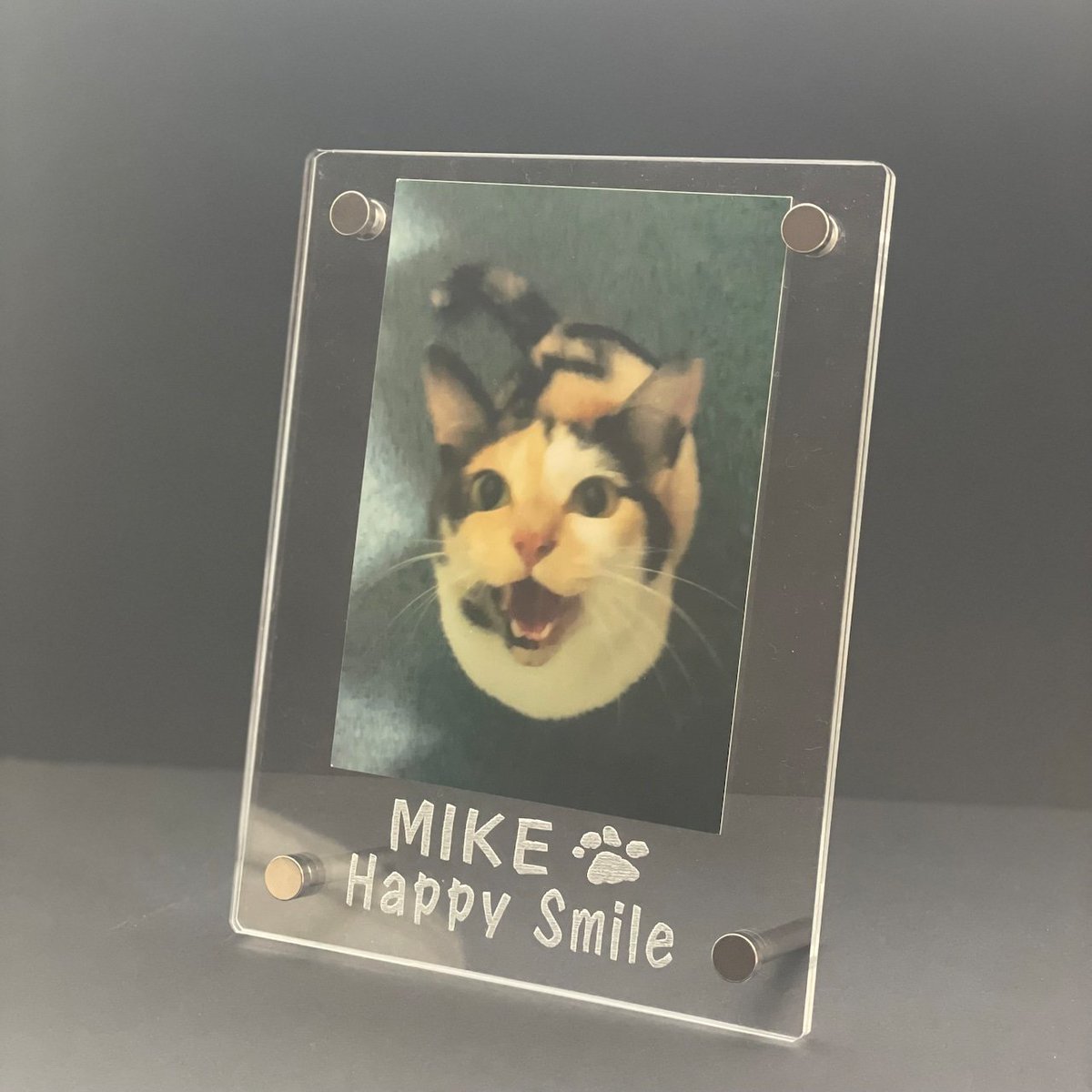 ミケちゃんフォトスタンド📸🐱 ちょこん、と見守ってくれるミケちゃん