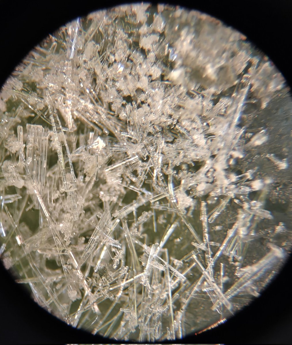 Art meets science yet again! Thanks to <a href="/bhsmcunha/">Mr. Cunha</a> for letting me examine my crystalized Play-Doh under the microscope. #BHS #BarnegatInspires #OneBarnegat