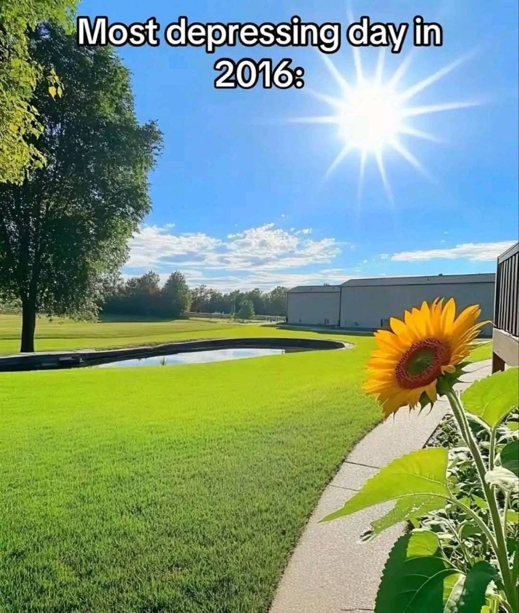 Wild TikToks tweet media