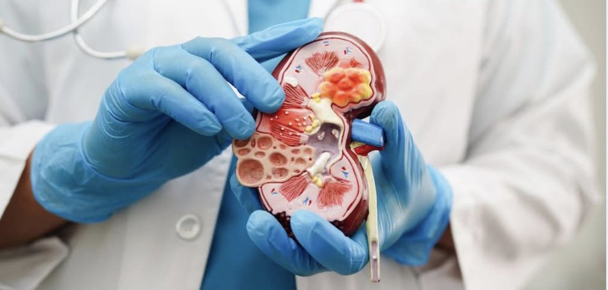 NANI - Nephrology Associates tweet media