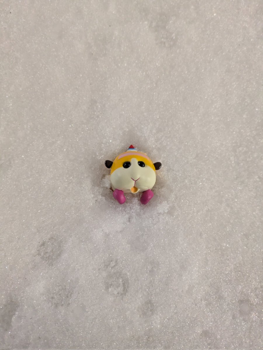 モルカーと行く北海道