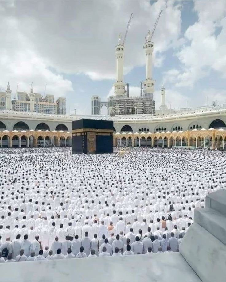 Zeeshan Ali tweet media