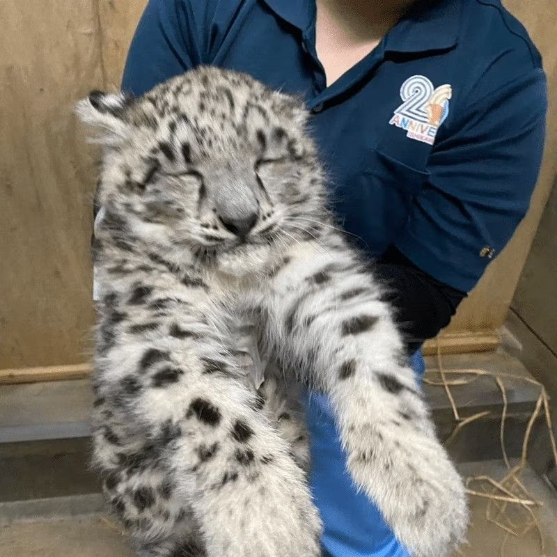 WAKEEEEE UUUUUUUUUUUUUUP !!!!!!!!