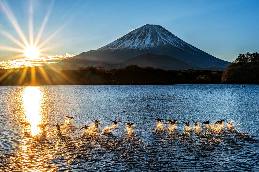 taitan21's tweet photo. おはようございます。
早朝の湖畔からの富士山と日の出の風景、水鳥が飛び立つ光景も見られました！ https://t.co/YlkBPG3zVM