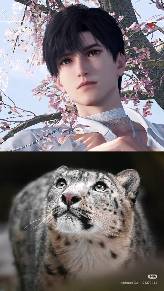 CWDproject's tweet photo. Yeah, Snow Leopard 𝙄𝙎 very Zayne. Look at how adorable they are here. 🥰 https://t.co/BR13d0DW52