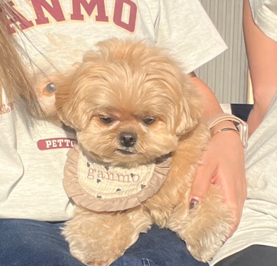 付き合わされてる感そんな出すなよ