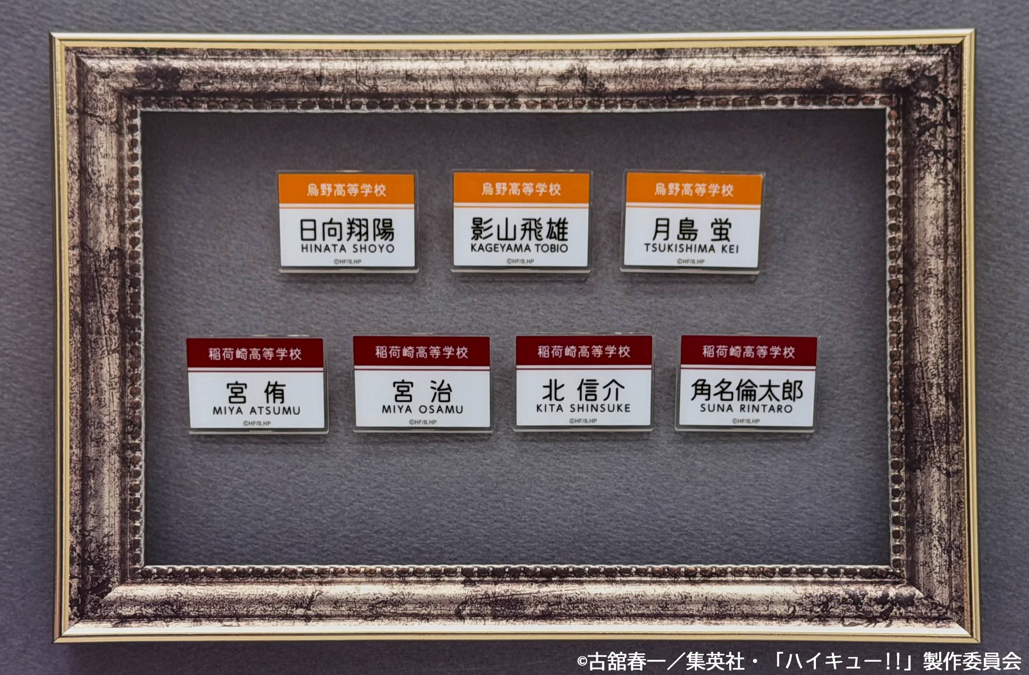 TOHO animation グッズチーム on X: 