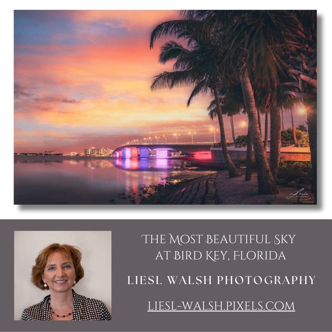LieslWalsh's tweet photo. New Release! 
View of the #ringlingbridge and #sarasota #skyline from #birdkey
Prints: https://t.co/1Ja9gMRc53

#srq #sarasotaflorida #florida #sunrise #photography #lidokey #sarasotafl #longboatkey #iloveflorida #palmtrees #canvasprints #floridawallart https://t.co/aSLnX1YTLg