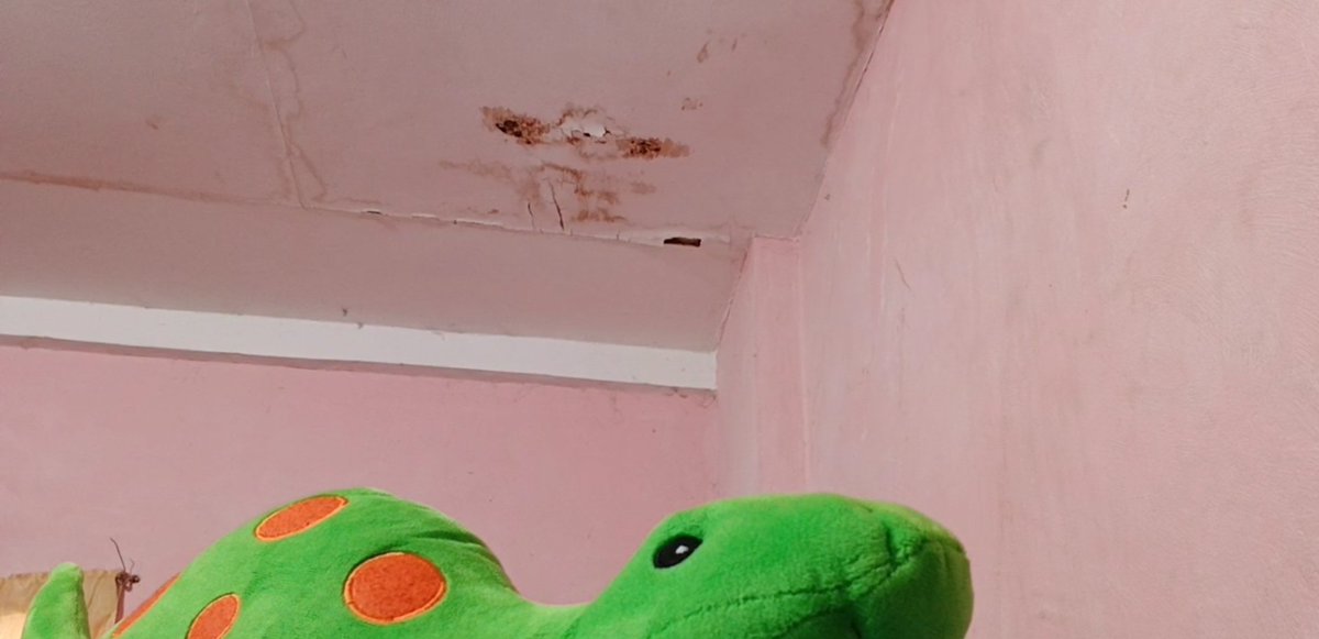 it's another Nuggies the guard day again 😅