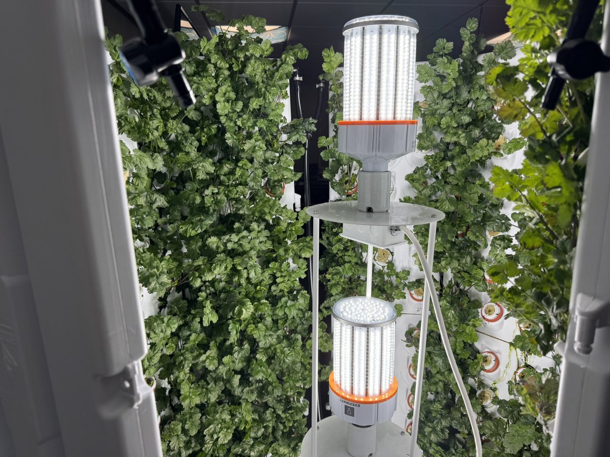 Samia Kaddoura tweet media