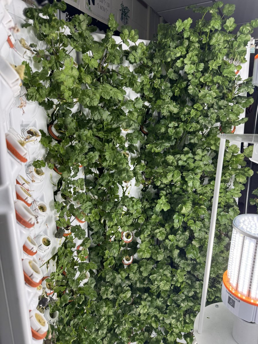 Samia Kaddoura tweet media