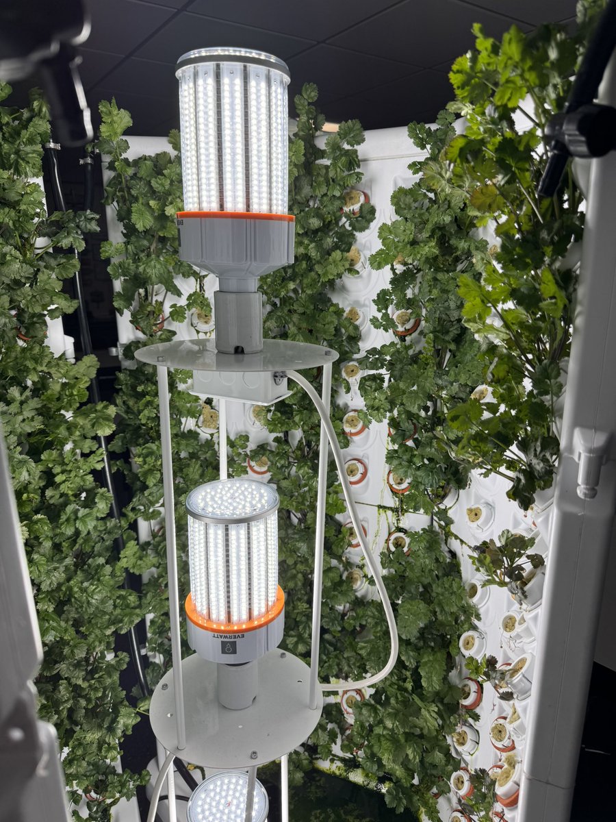 Samia Kaddoura tweet media