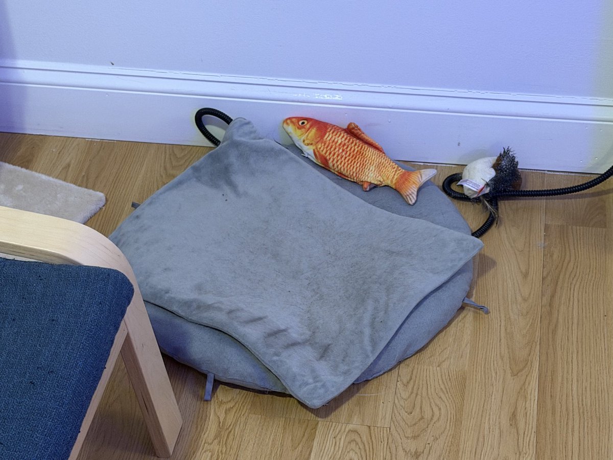 Tommy Parnell tweet media