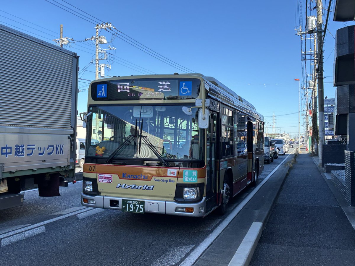 GO-CHAN (@gochan_nracoedo) / Posts / X