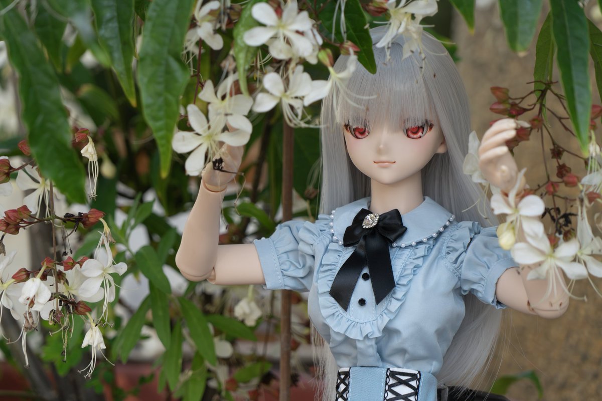 撥垂茉開，蝴蝶飛舞。