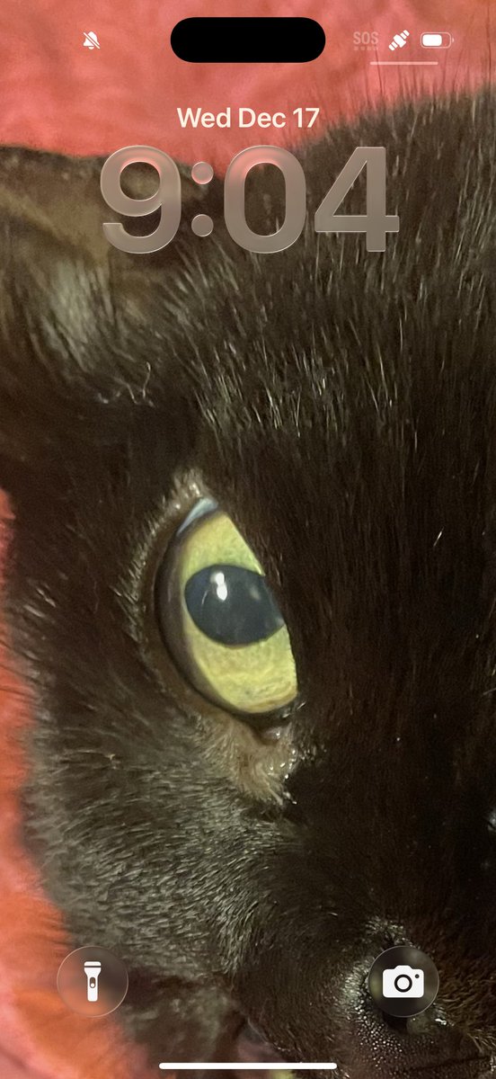 Ok Apple maybe work on your lockscreen selection algorithm