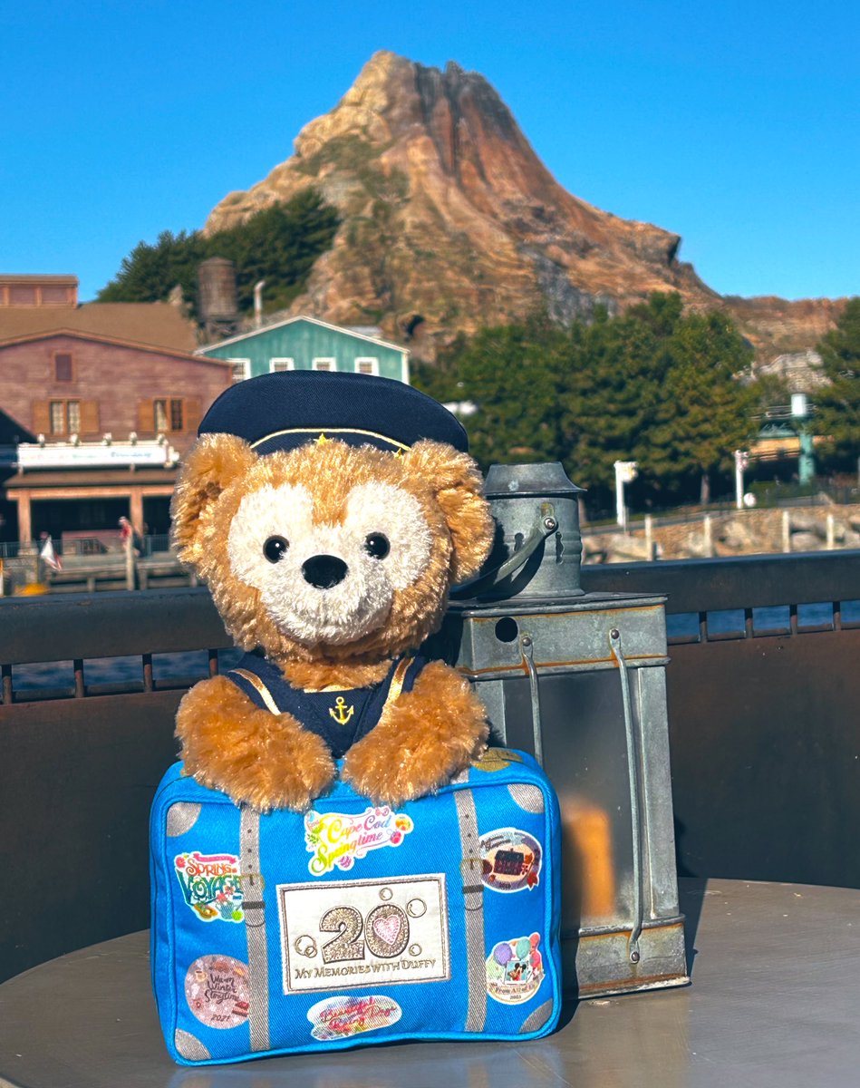 Post by DUFFY✖️DUFFY on X: ✨🐻✨